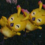 rapifuri