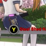 Steal Shed Key