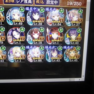 平の気関係・改築の質問です。今まで平は★6のシャンティイ(改壱)柳之御所で賄ってたのですが平安お迎えできたのと花嫁ロンドン獲りに行くとすると柳之御所の改築は慌てなくてもいい感じでしょうか?それと2体ほど星8に改築できそうなのですが平でお薦めの改築候補は誰になりますでしょうか?質問がとっ散らかってますが宜しくお願い致します。