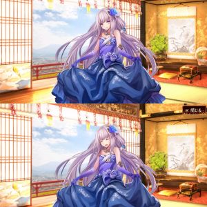 ドレス姿のカルカソンヌ