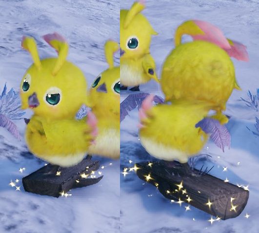 ラッピー滑る