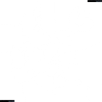 ngs_map_素材3_エリア境界線