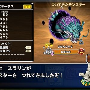 1個投げ6回目でじげんりゅうゲット～、しかもマホカンタ付きで来てくれた
