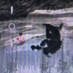 なんかバッタみたいな頭をした兵士…？みたいなのを見つけた。