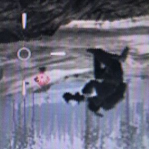 なんかバッタみたいな頭をした兵士…？みたいなのを見つけた。