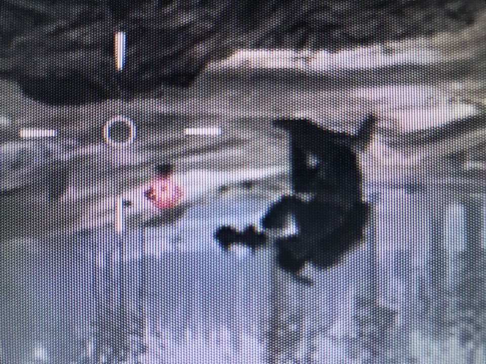 なんかバッタみたいな頭をした兵士…？みたいなのを見つけた。