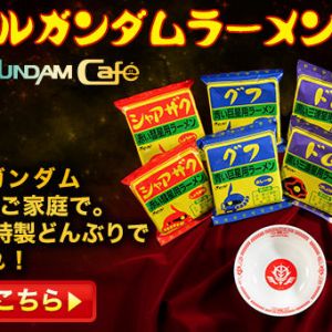 (´・ω・`)もうあるんだよなぁ