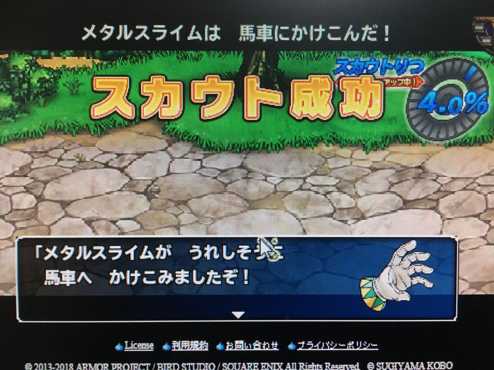 初パレで…ならSSこいや