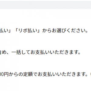 初期はリボ払い設定やけど全額支払いに変更できるで